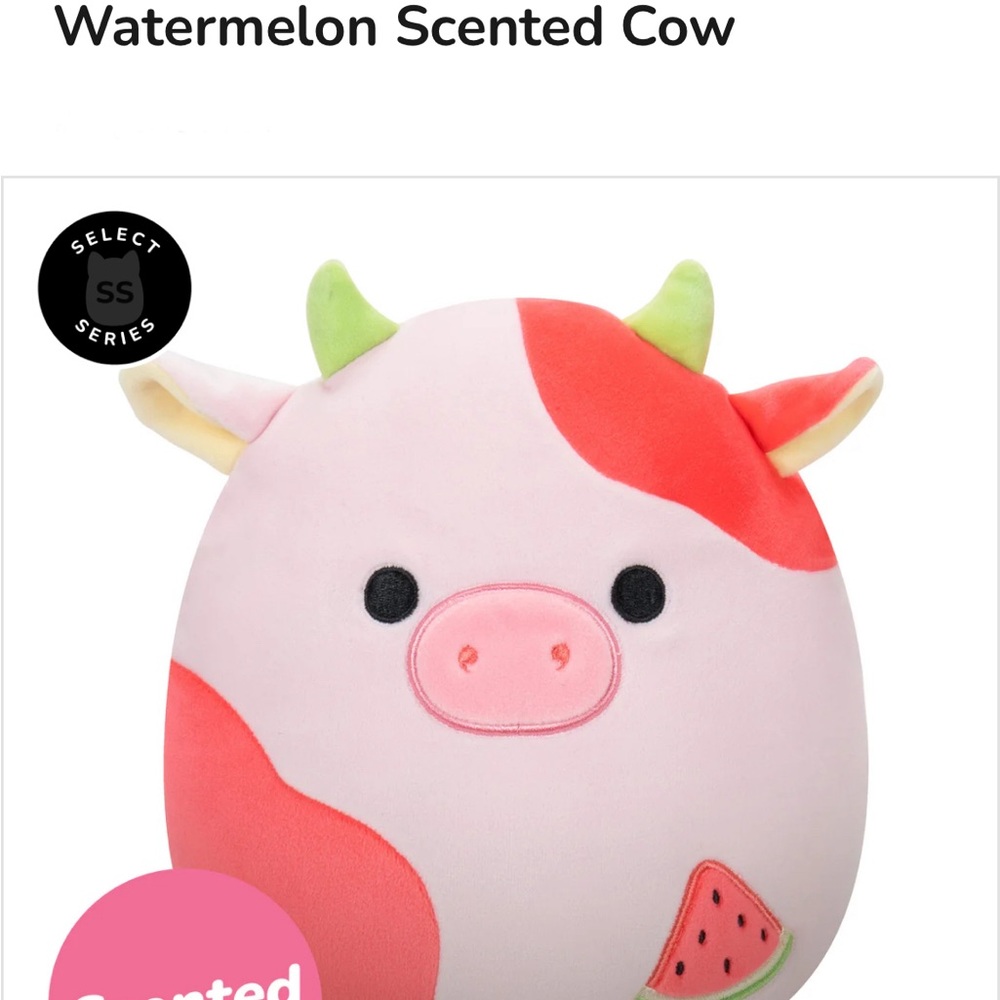 Oola Watermelon Scented Squishmallow Select Series